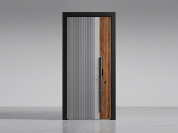 Modern front door with mixed steel and aluminum finish